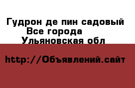 Гудрон де пин садовый - Все города  »    . Ульяновская обл.